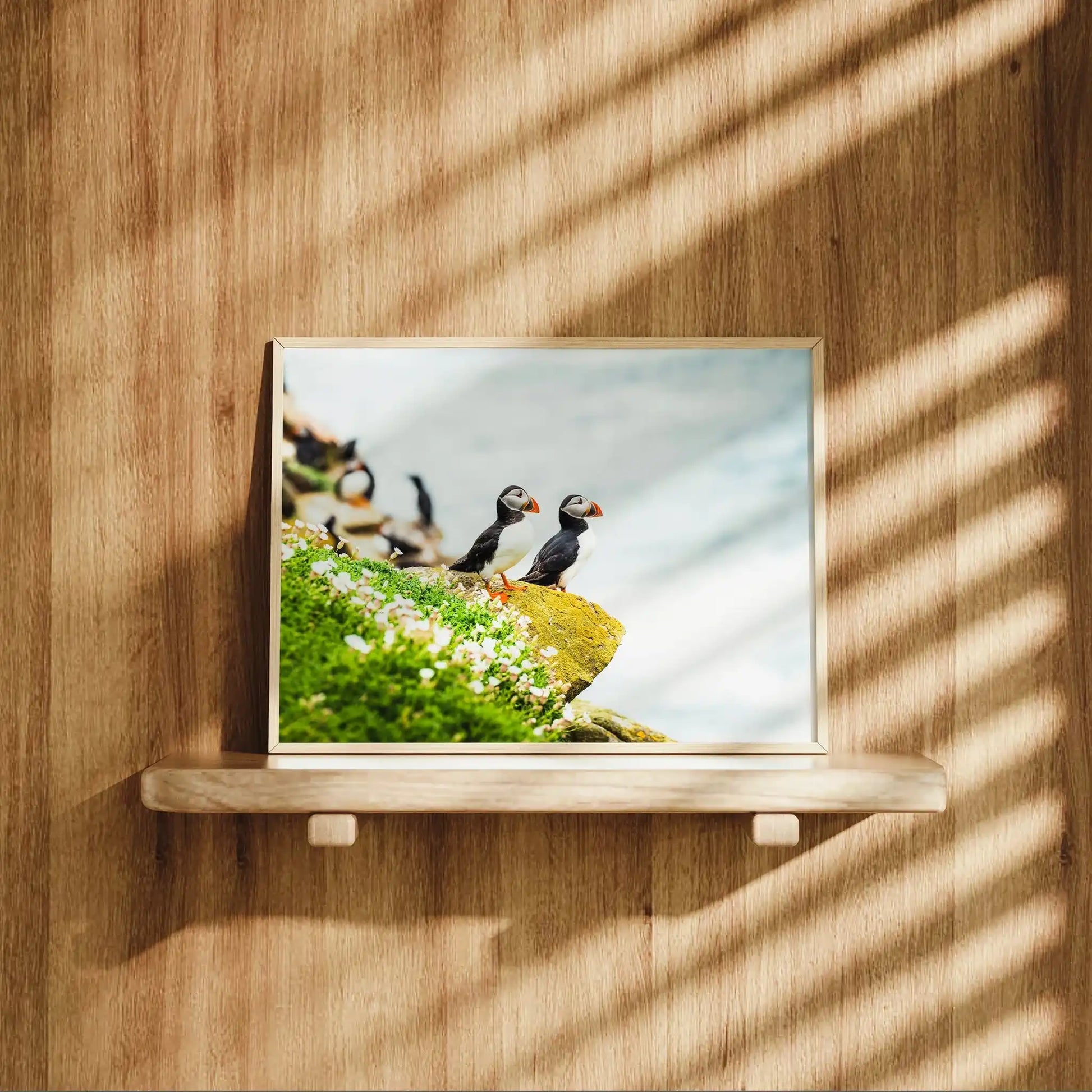 Puffins on Saltee Island – Irish Coastal Wildlife Wall Art by Chamonix Prints