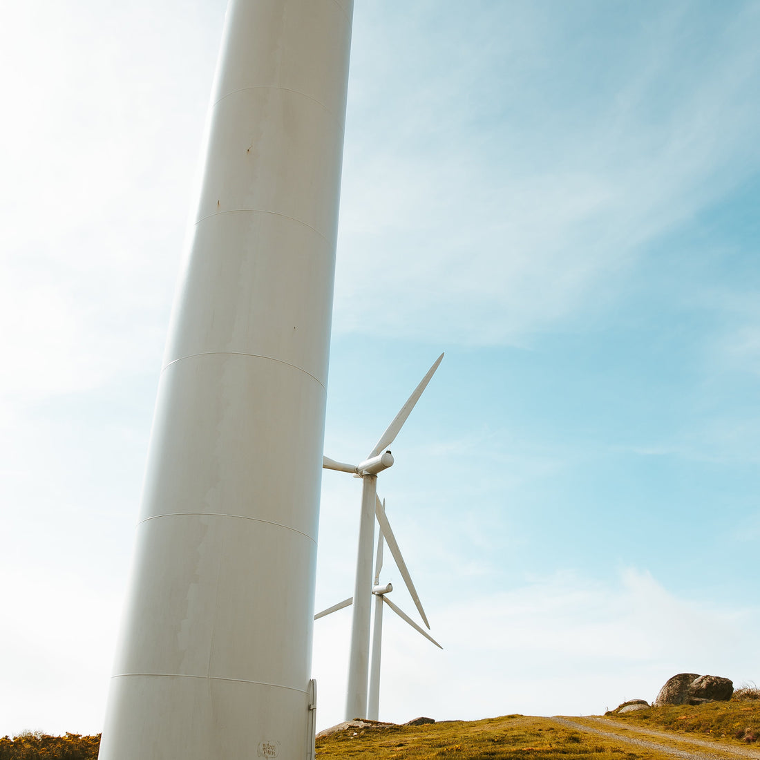 Nachhaltigkeit & Umweltverantwortung
