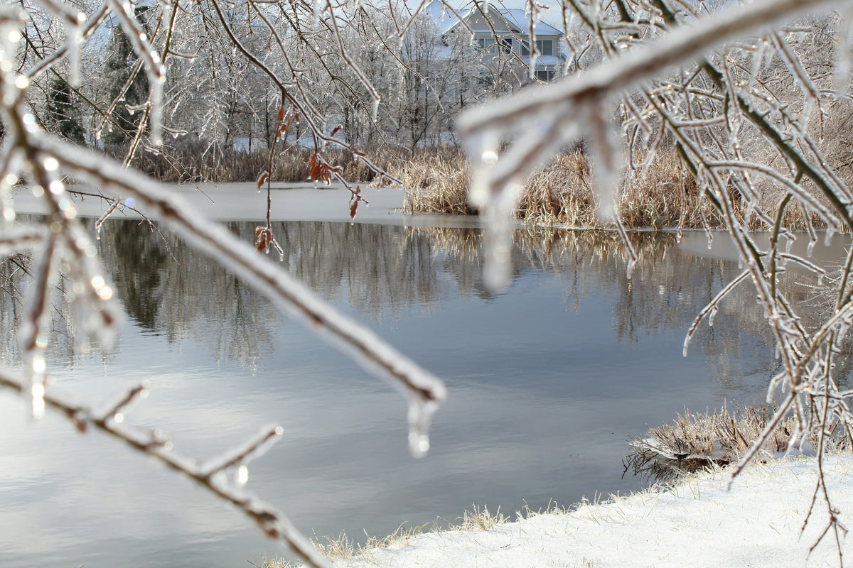 Zugefrorener Gartenteich im Winter