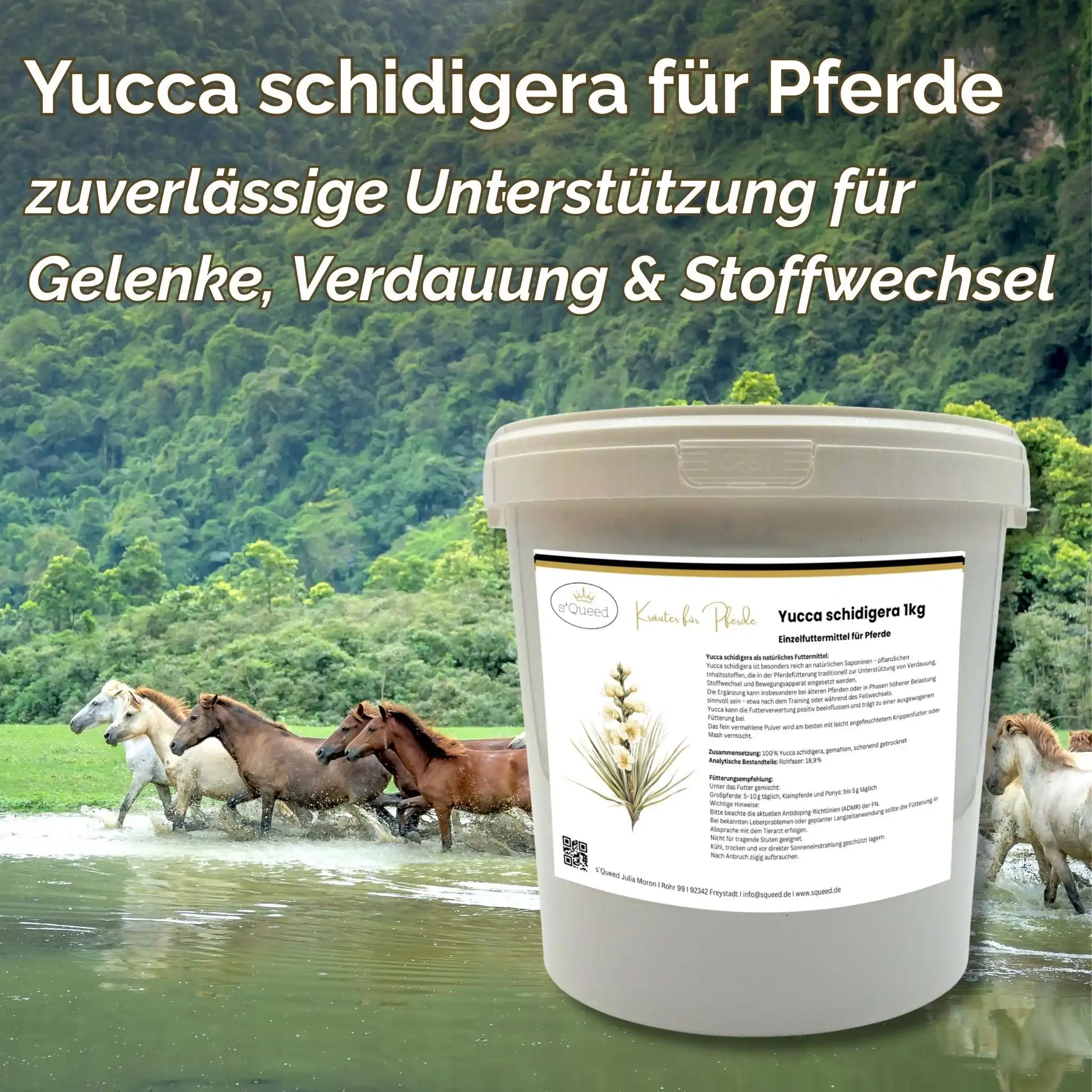 Yucca Schidigera Pulver Für Pferde 1 Kilogramm Einzelfuttermittel Zur Unterstützung Von Gelenken Verdauung Stoffwechsel by s`Queed