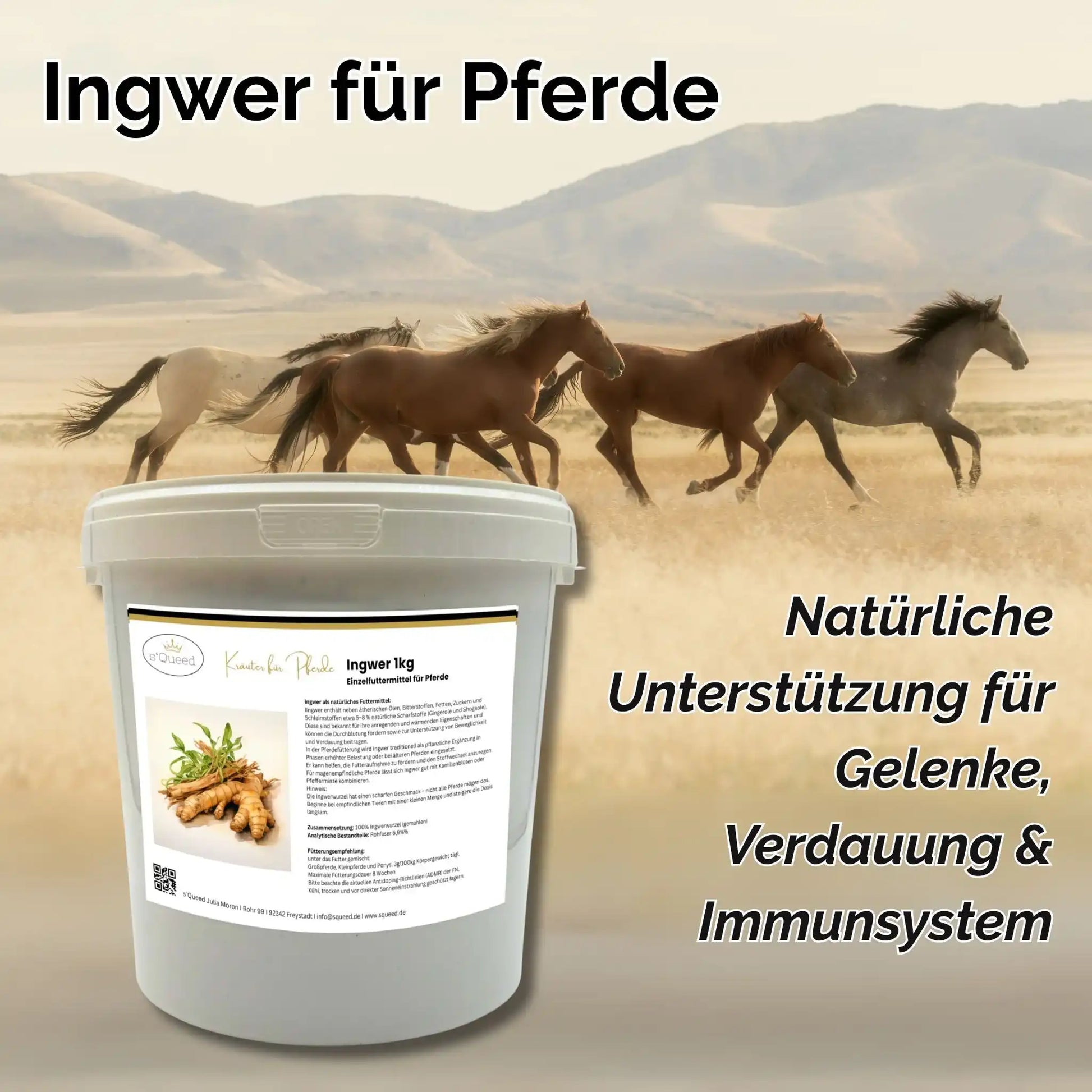 Ingwer Pulver Pferd 1 Kg Unterstützung Beweglichkeit Verdauung Kreislauf Gelenke Wärme Für Ältere Pferde by s`Queed