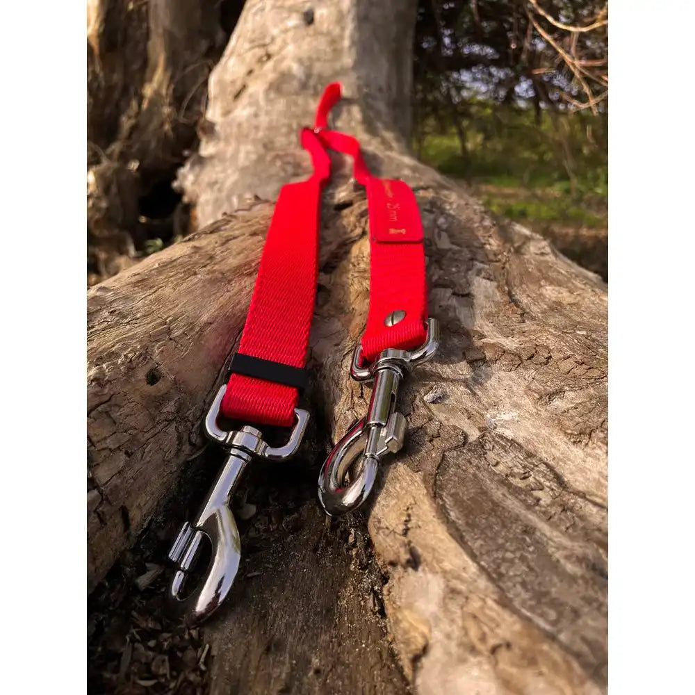 Doppelleine TECHTELMECHTEL aus BioThane®/Pop - Band by Der Hundegefährte