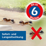 Protect Home Ameisen Spezialspray 500 ml