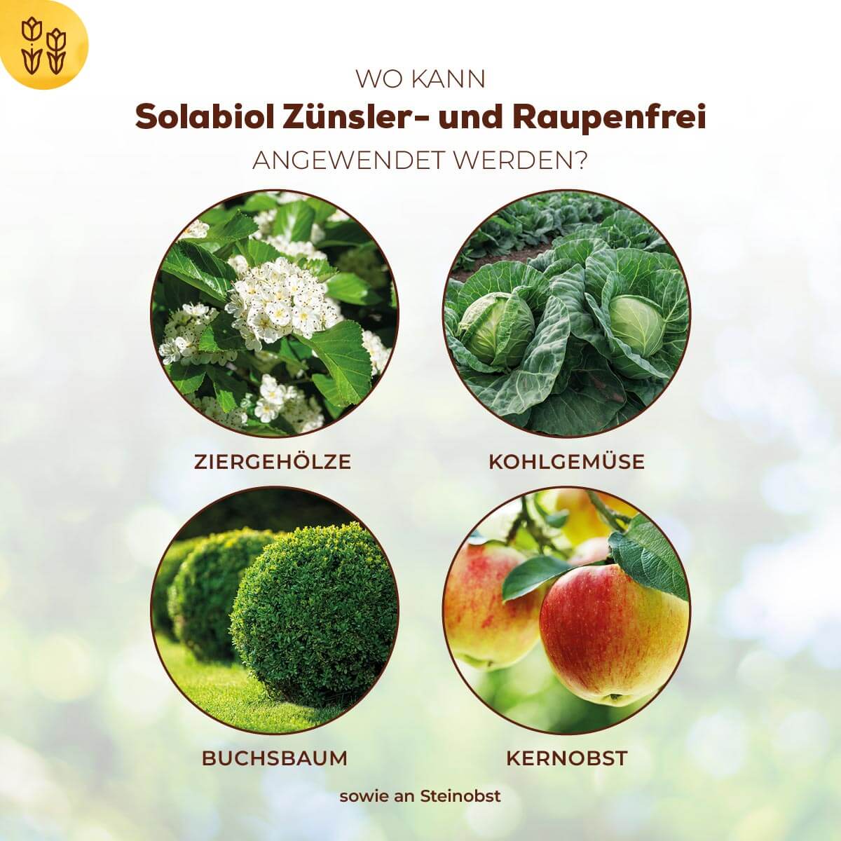 Zünsler- & Raupenfrei 15 ml Sofortiger Fraßstopp
