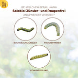 Zünsler- & Raupenfrei 15 ml Sofortiger Fraßstopp