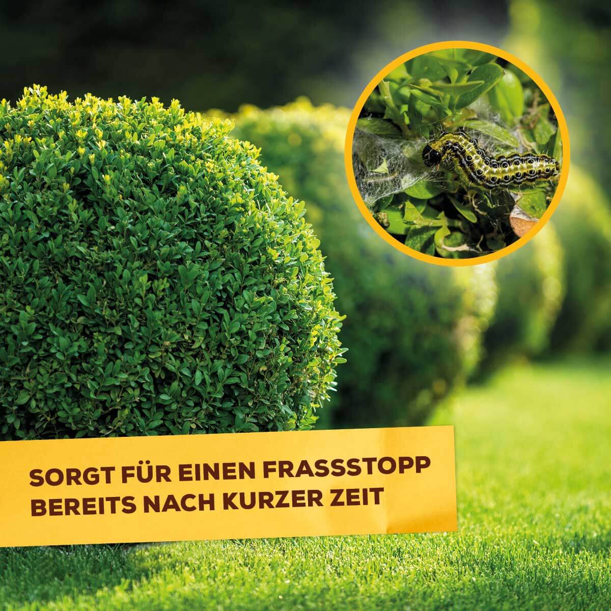 Zünsler- & Raupenfrei 15 ml Sofortiger Fraßstopp