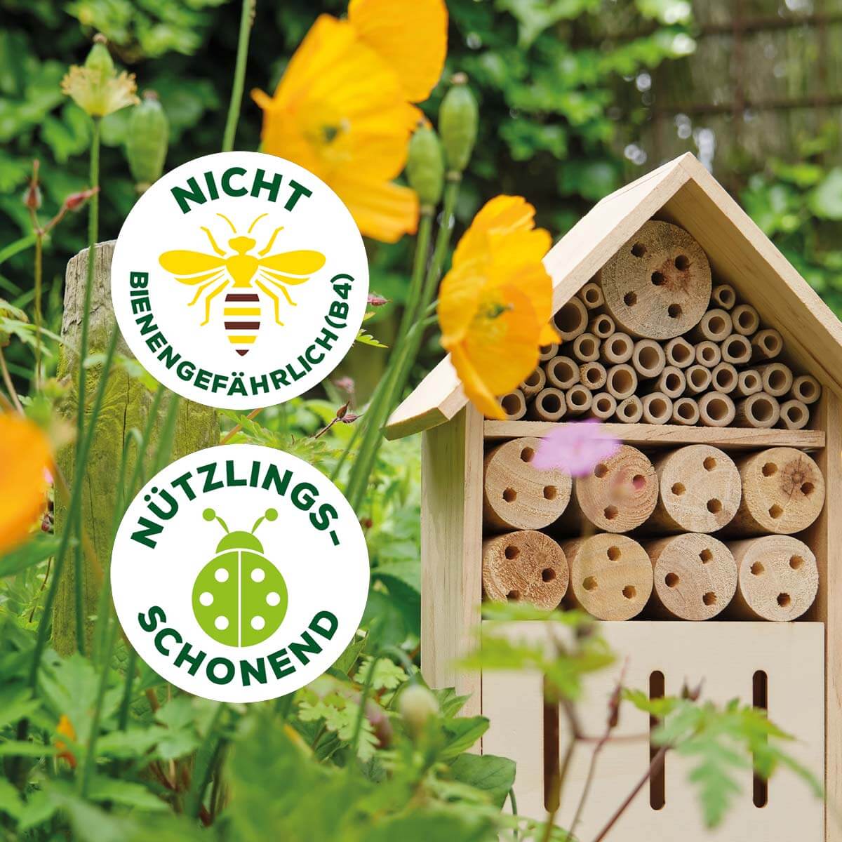 Zünsler- & Raupenfrei 15 ml Sofortiger Fraßstopp