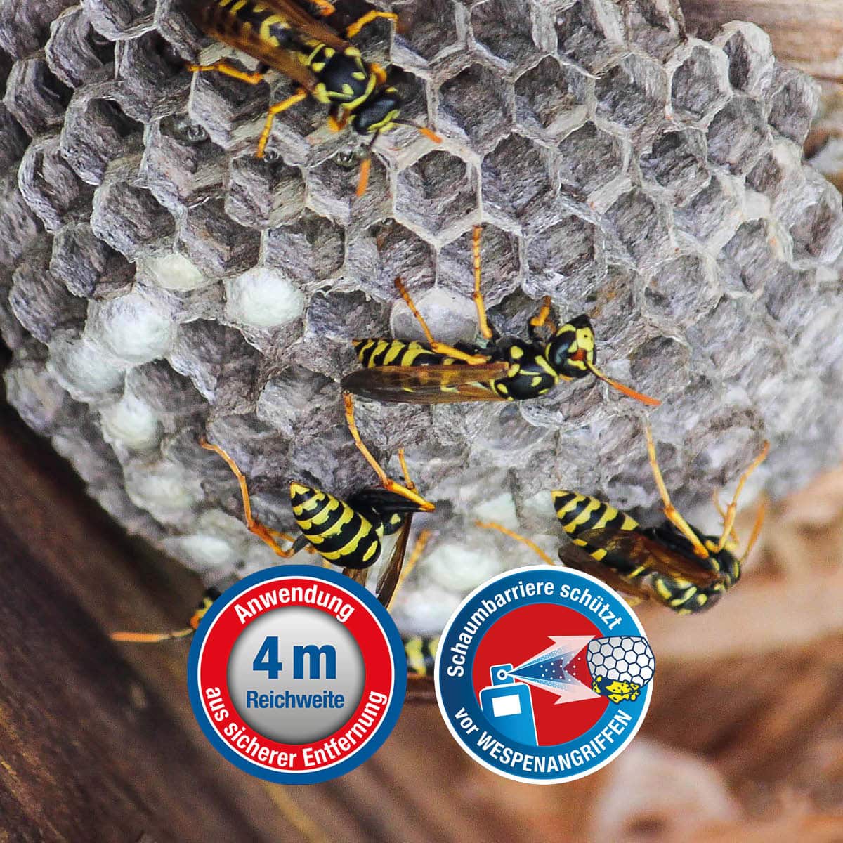 Protect Home Forminex Wespenschaum 600ml