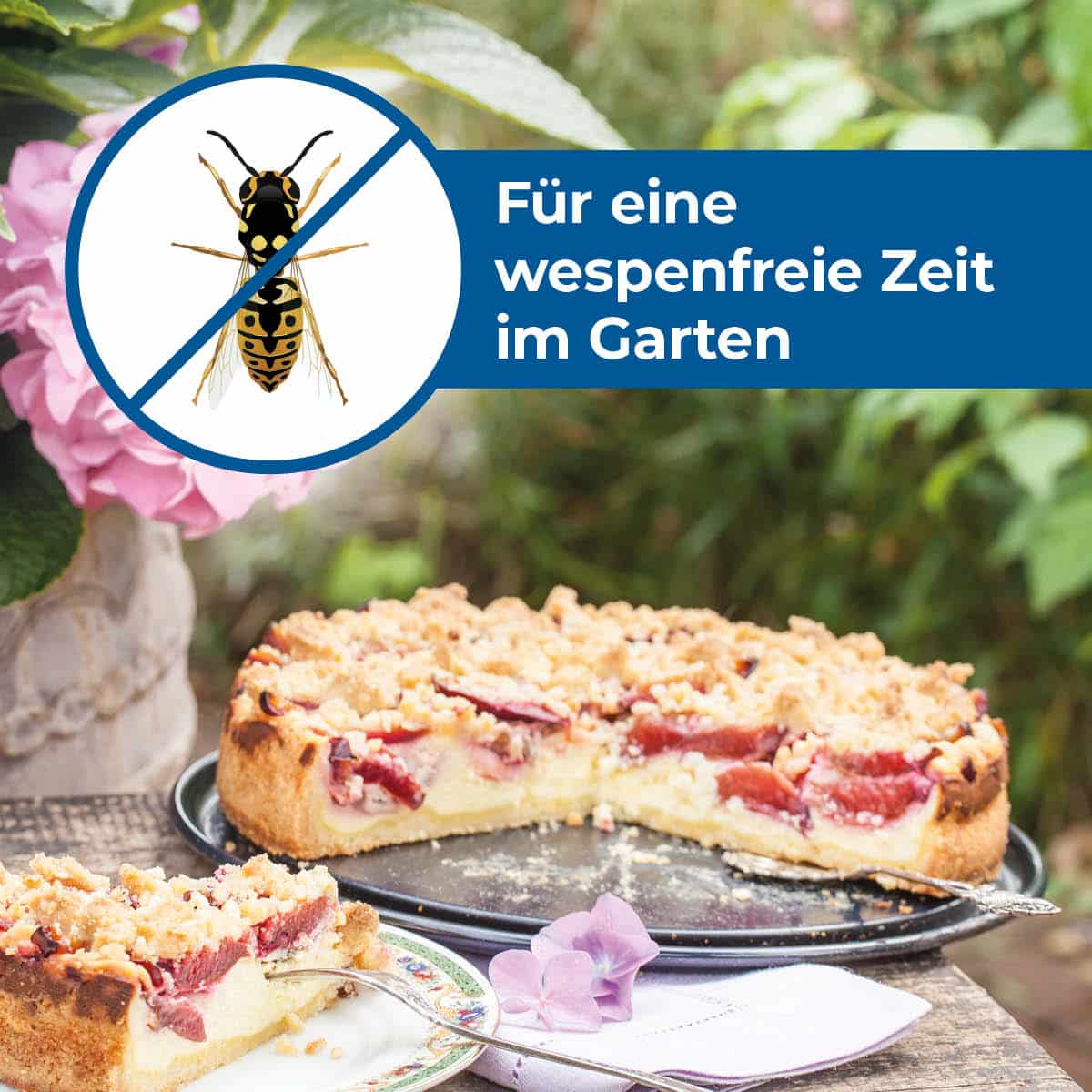 Protect Home Forminex Wespenschaum 600ml