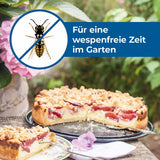 Protect Home Forminex Wespenschaum 600ml
