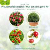 Lizetan Plus Schädlingsfrei AF von 500 ml-3 Liter