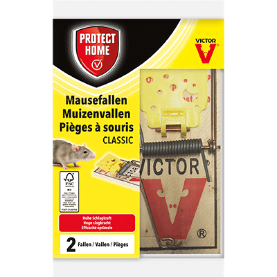 Protect Home Mausefallen Classic 2 Stück