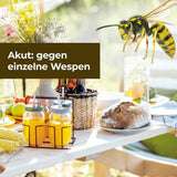 Protect HOME Wespen Akut Spray 3-in-1