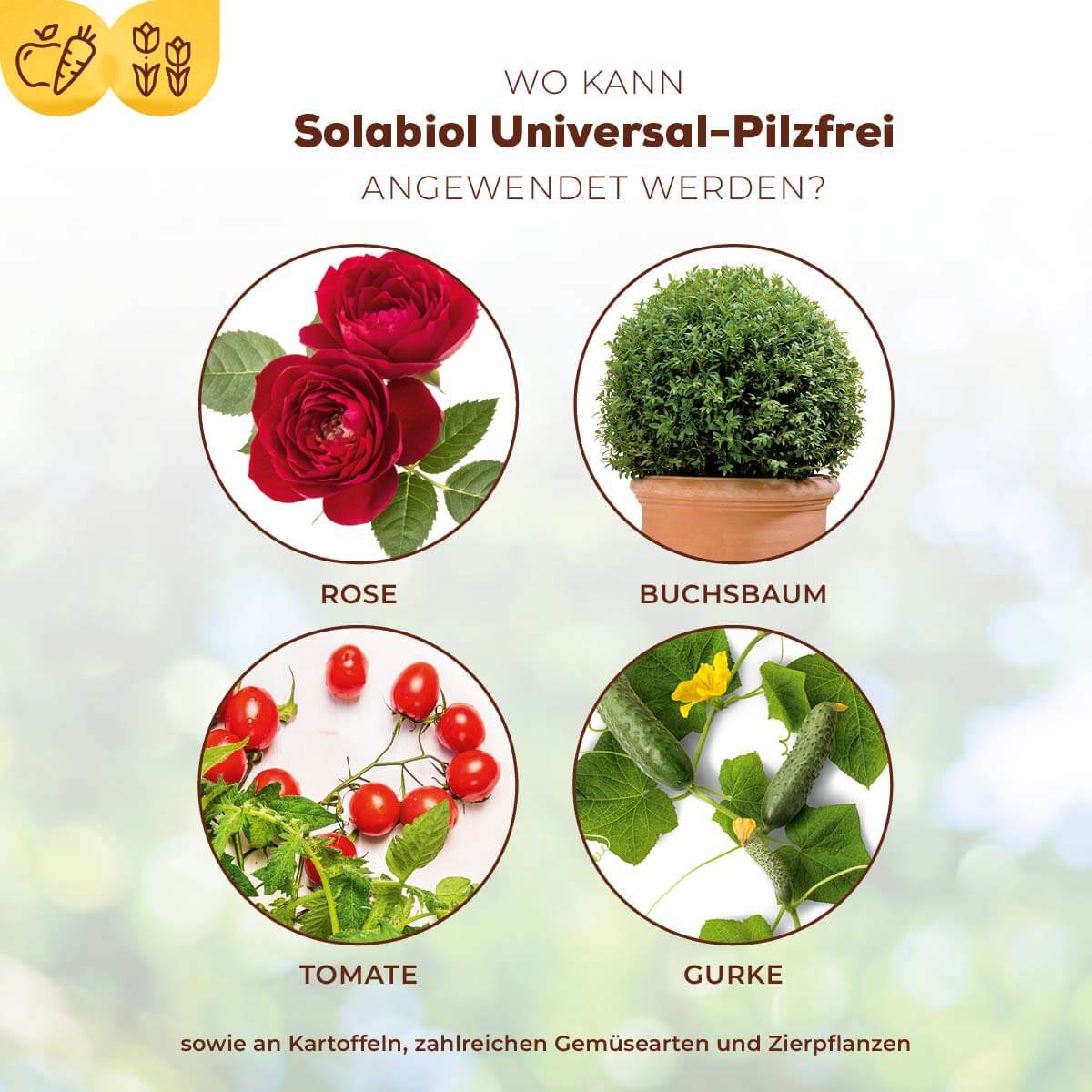 Solabiol Universal-Pilzfrei 15 ml