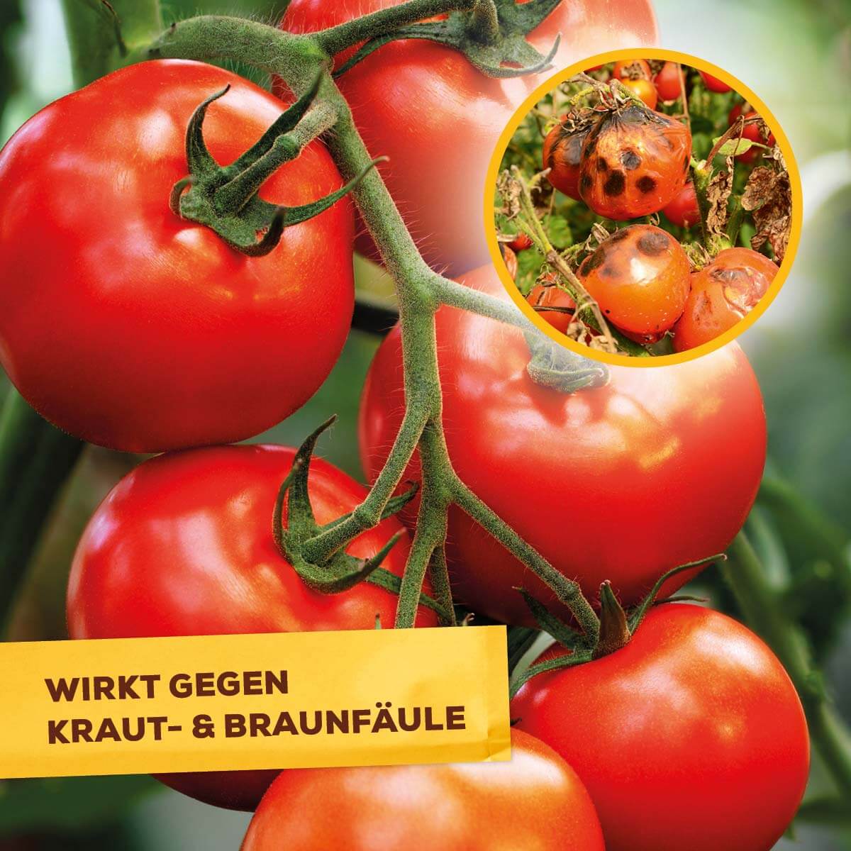 Solabiol Universal-Pilzfrei 15 ml