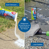 Protect Home Ameisen Streu- & Gießmittel 100 g