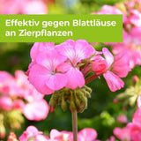 Lizetan Plus Blattlausfrei AF 1000 ml Blattläuse