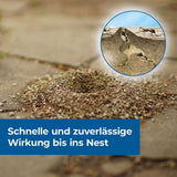Protect Home Ameisen Ködergranulat  600 g