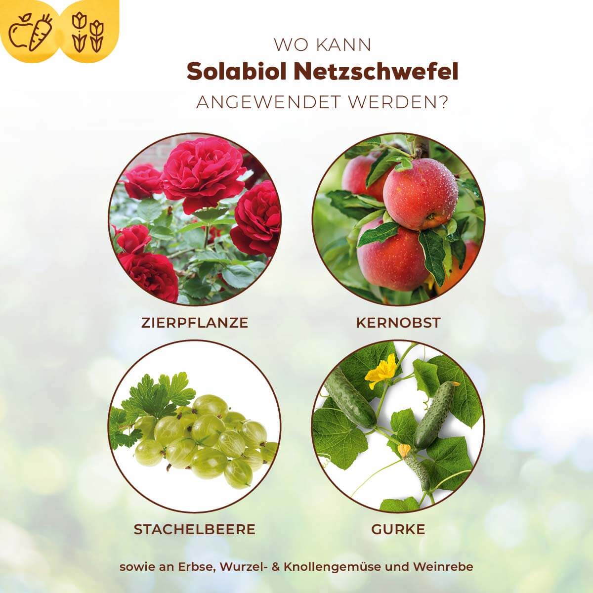 Solabiol Netzschwefel 75 g