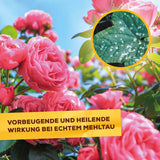 Solabiol Netzschwefel 75 g
