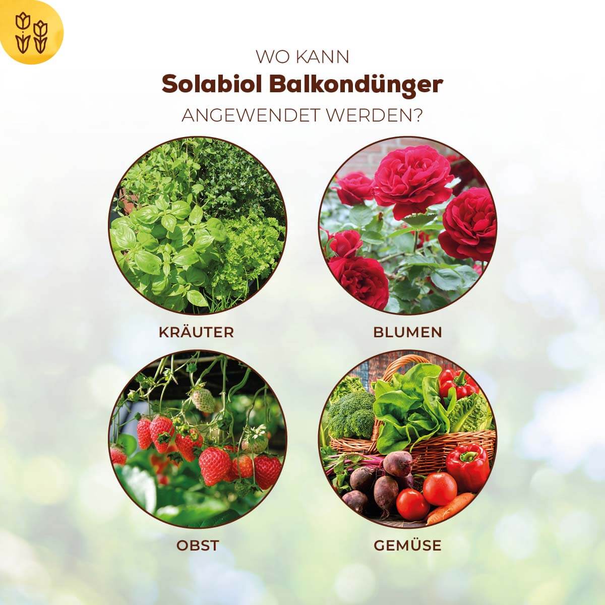 Solabiol Balkondünger Universal 1,5 kg