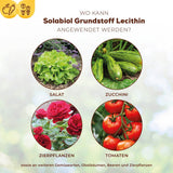 Solabiol Grundstoff Lecithin Konzentrat 800 ml
