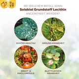 Solabiol Grundstoff Lecithin Konzentrat 800 ml
