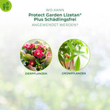 Lizetan Plus Schädlingsfrei Konzentrat Blattläuse Weiße Fliege Schildläuse