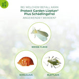 Lizetan Plus Schädlingsfrei Konzentrat Blattläuse Weiße Fliege Schildläuse