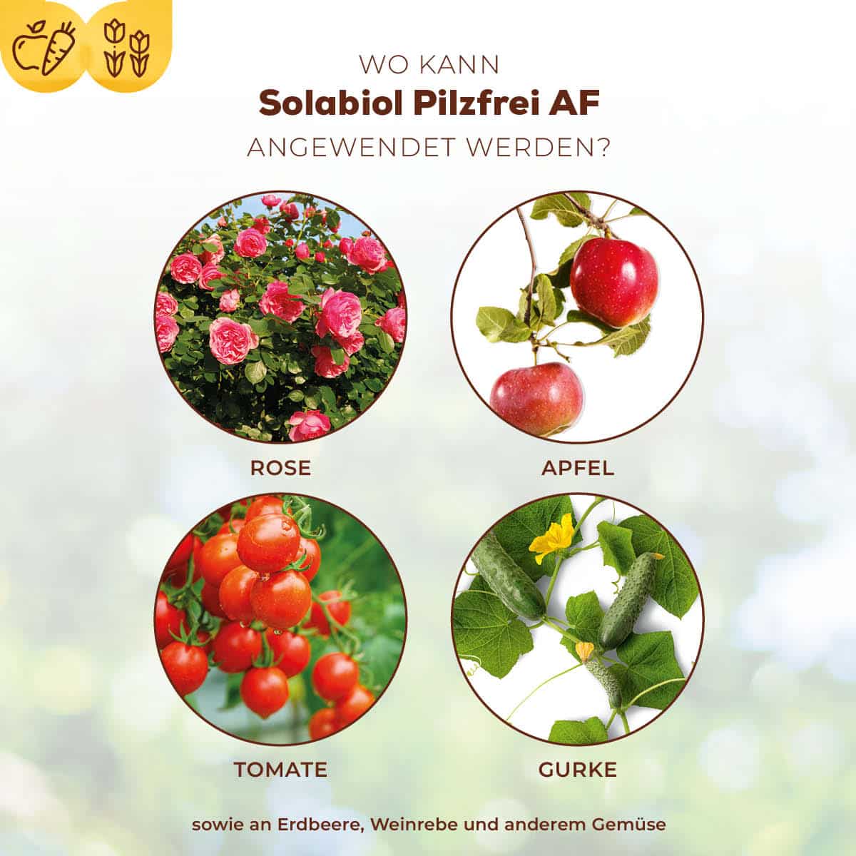 Solabiol Pilzfrei AF 750 ml anwendungsfertig