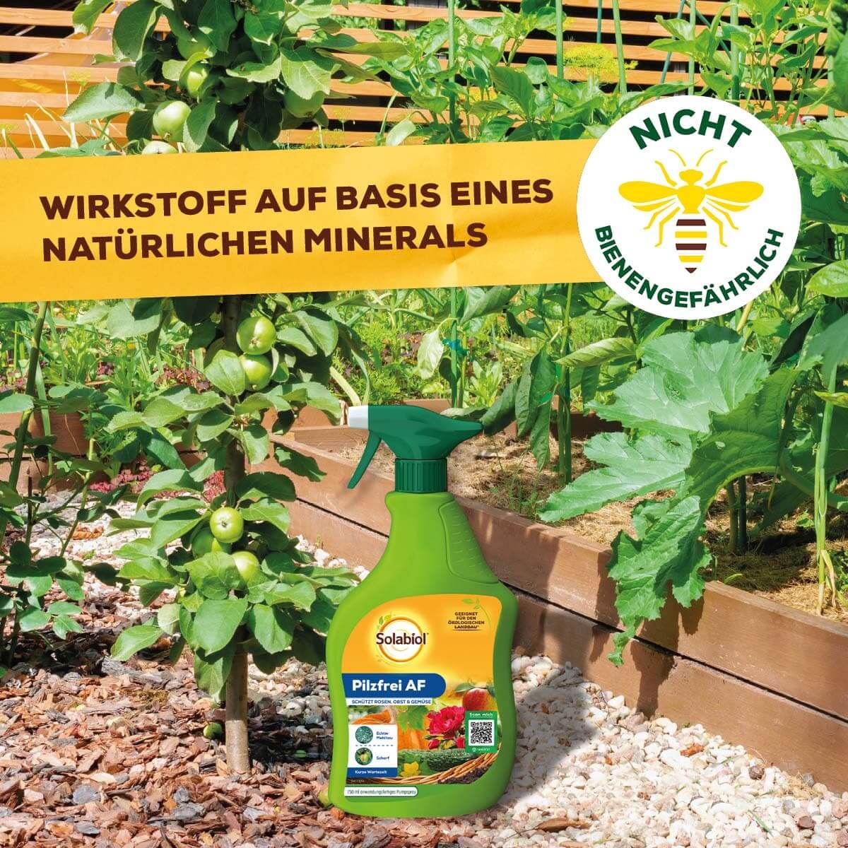 Solabiol Pilzfrei AF 750 ml anwendungsfertig