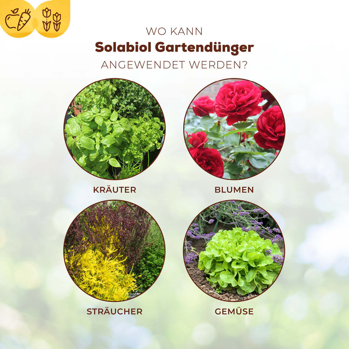 Solabiol Gartendünger Universal 2,5 kg