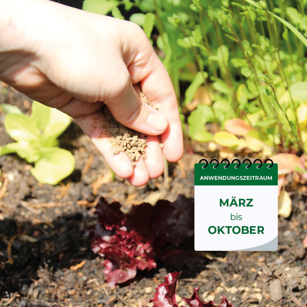 Solabiol Gartendünger Universal 2,5 kg