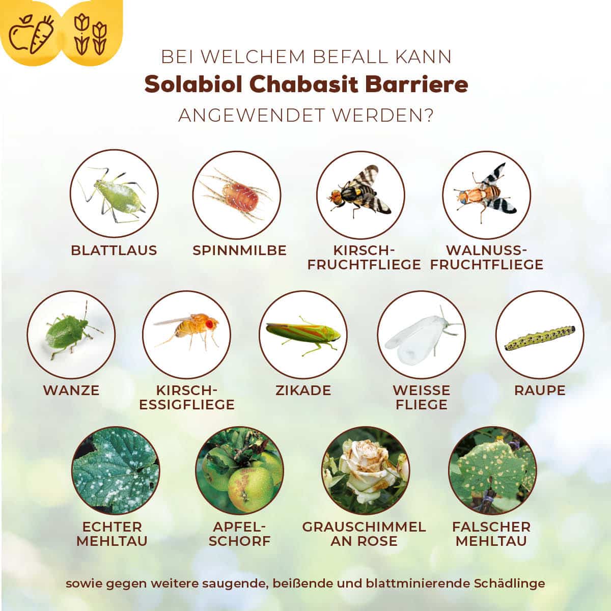 Solabiol Chabasit Barriere 400 g