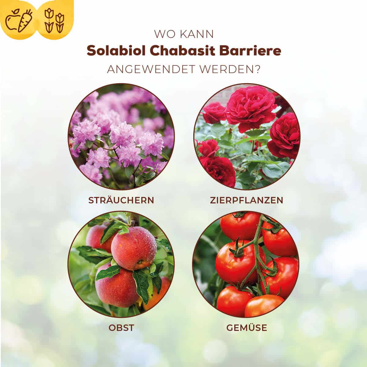 Solabiol Chabasit Barriere 400 g