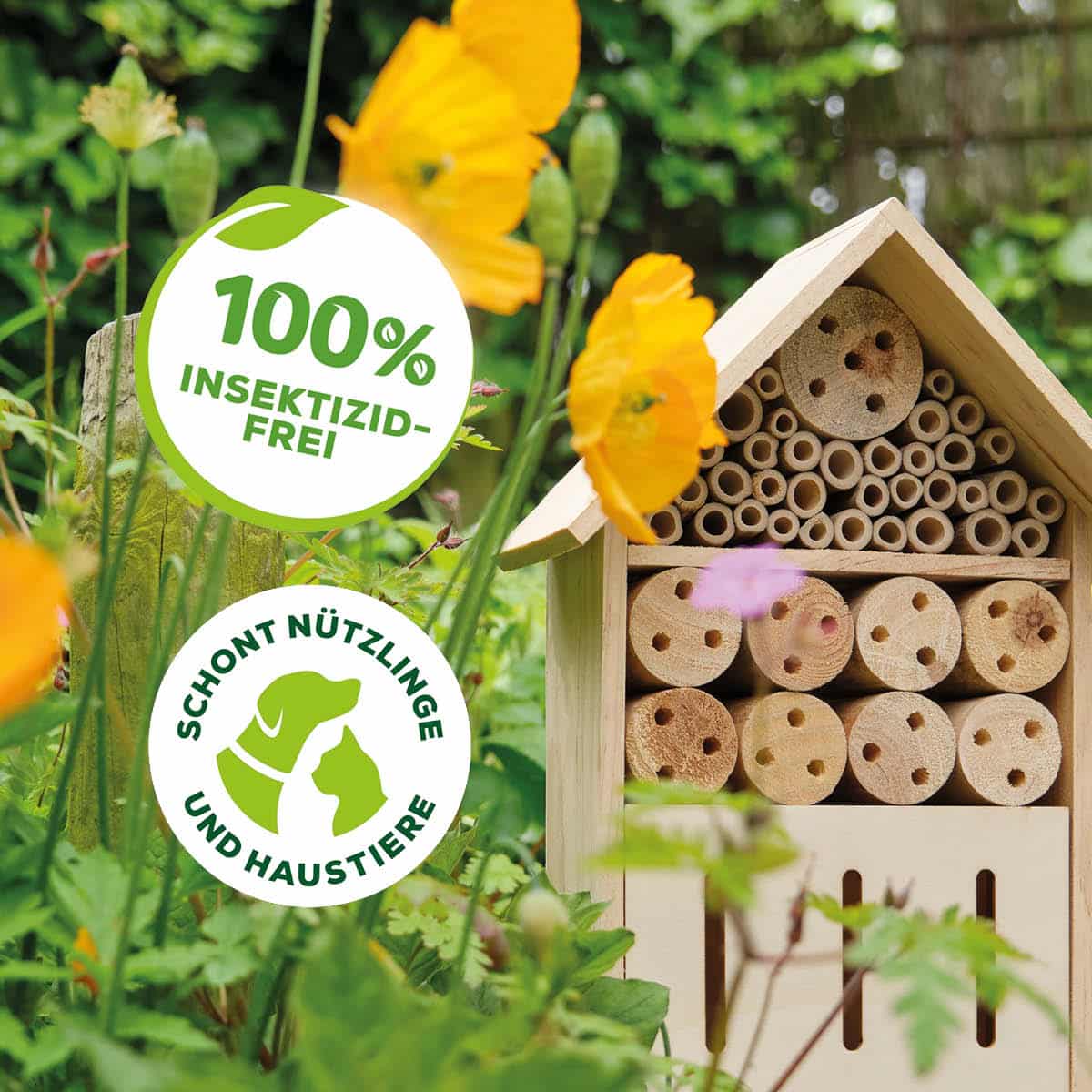 Solabiol Chabasit Barriere 400 g