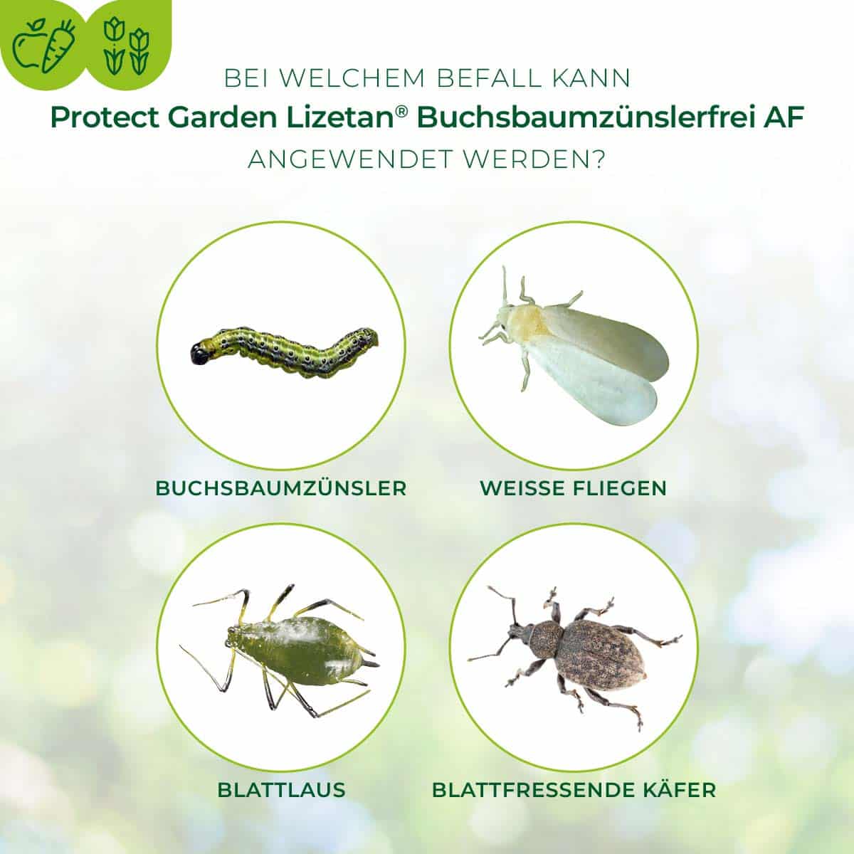 Lizetan Buchsbaumzünslerfrei AF