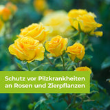 Curamat Plus Rosen Pilzfrei AF 1000 ml