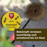 Protect Home Ameisen Köderdose Natria 3 Pakungen a 2 Stück