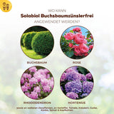 Solabiol Buchsbaumzünslerfrei 50 ml Fraßstopp