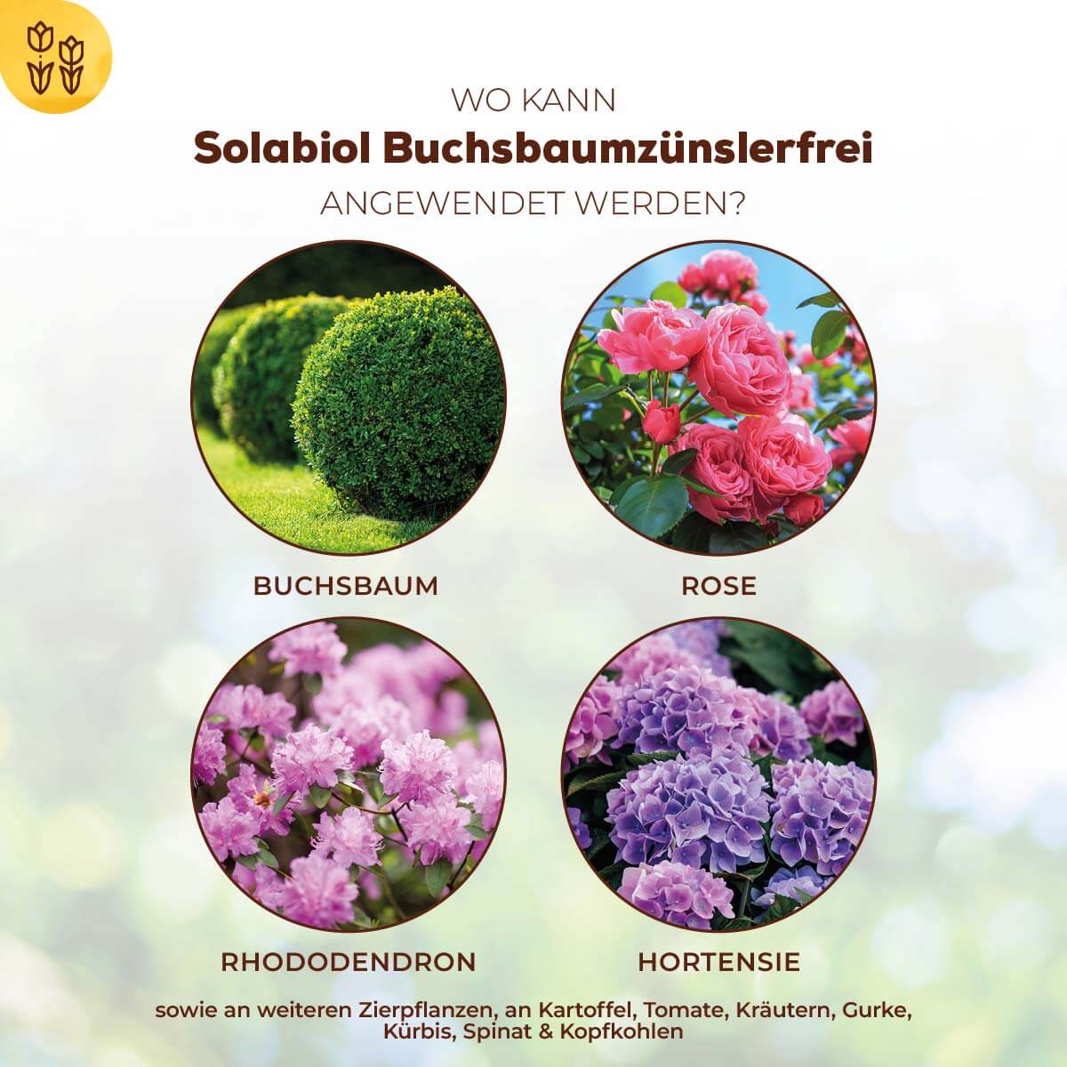 Solabiol Buchsbaumzünslerfrei 50 ml Fraßstopp