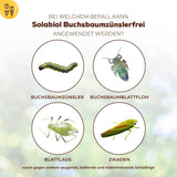 Solabiol Buchsbaumzünslerfrei 50 ml Fraßstopp
