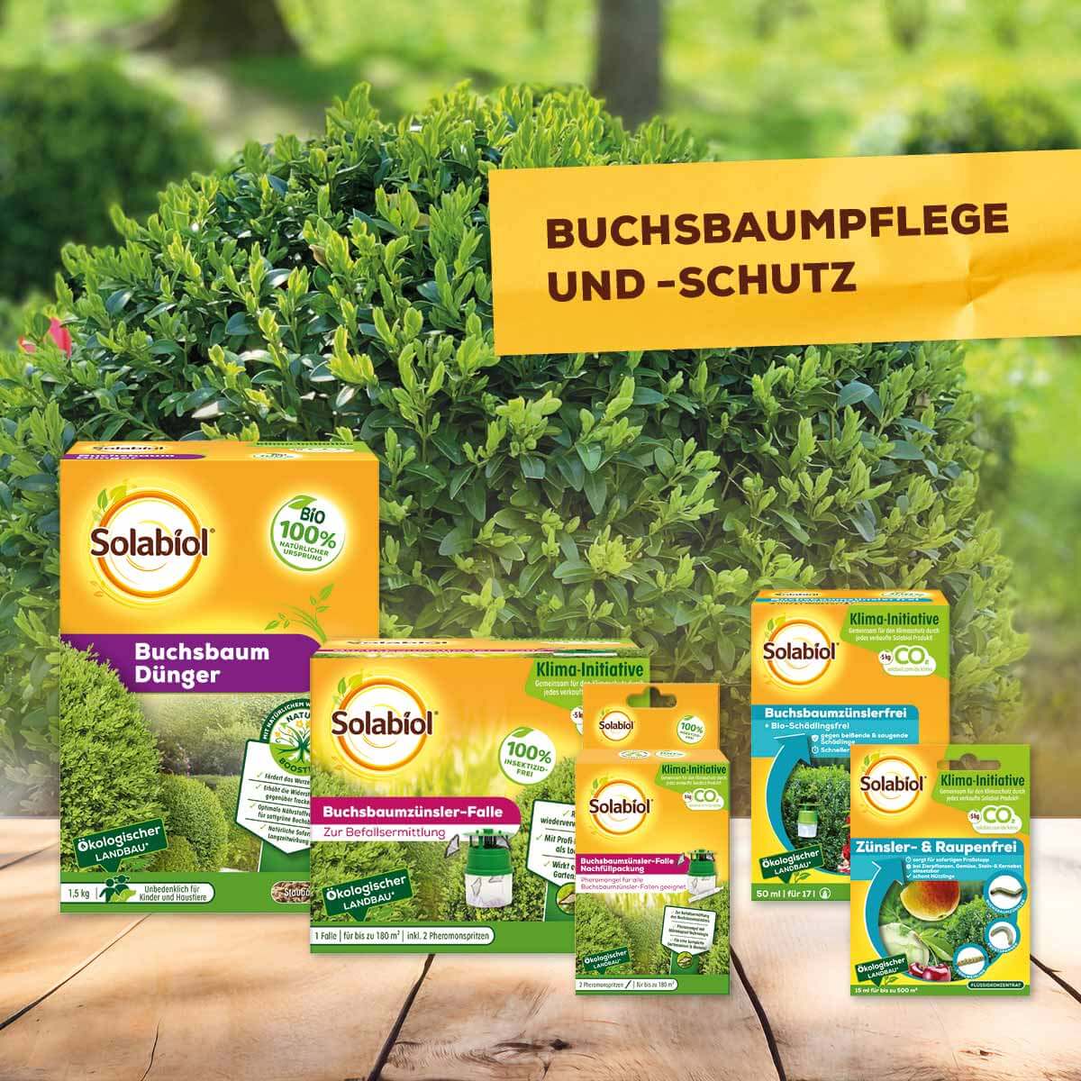 Solabiol Buchsbaumzünslerfrei 50 ml Fraßstopp