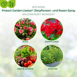 Lizetan Zierpflanzen- & Rosen-Spray von 500 ml-750 ml