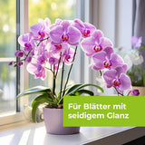 Lizetan Orchideen-Spray AF 500 ml saugende Schädlinge