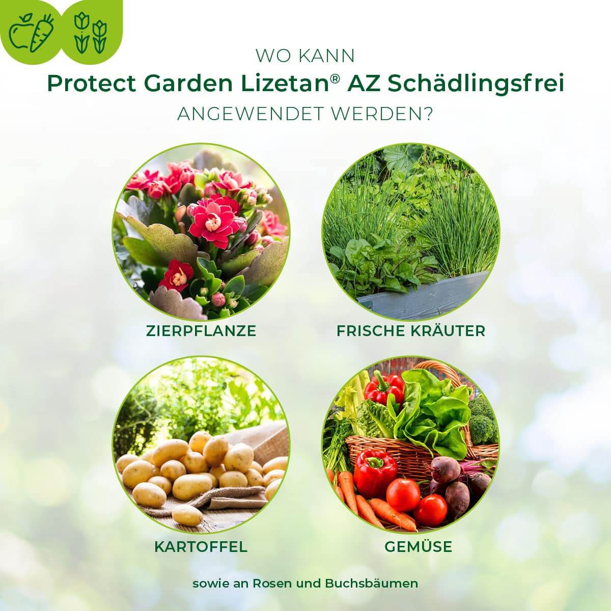 Lizetan AZ Schädlingsfrei