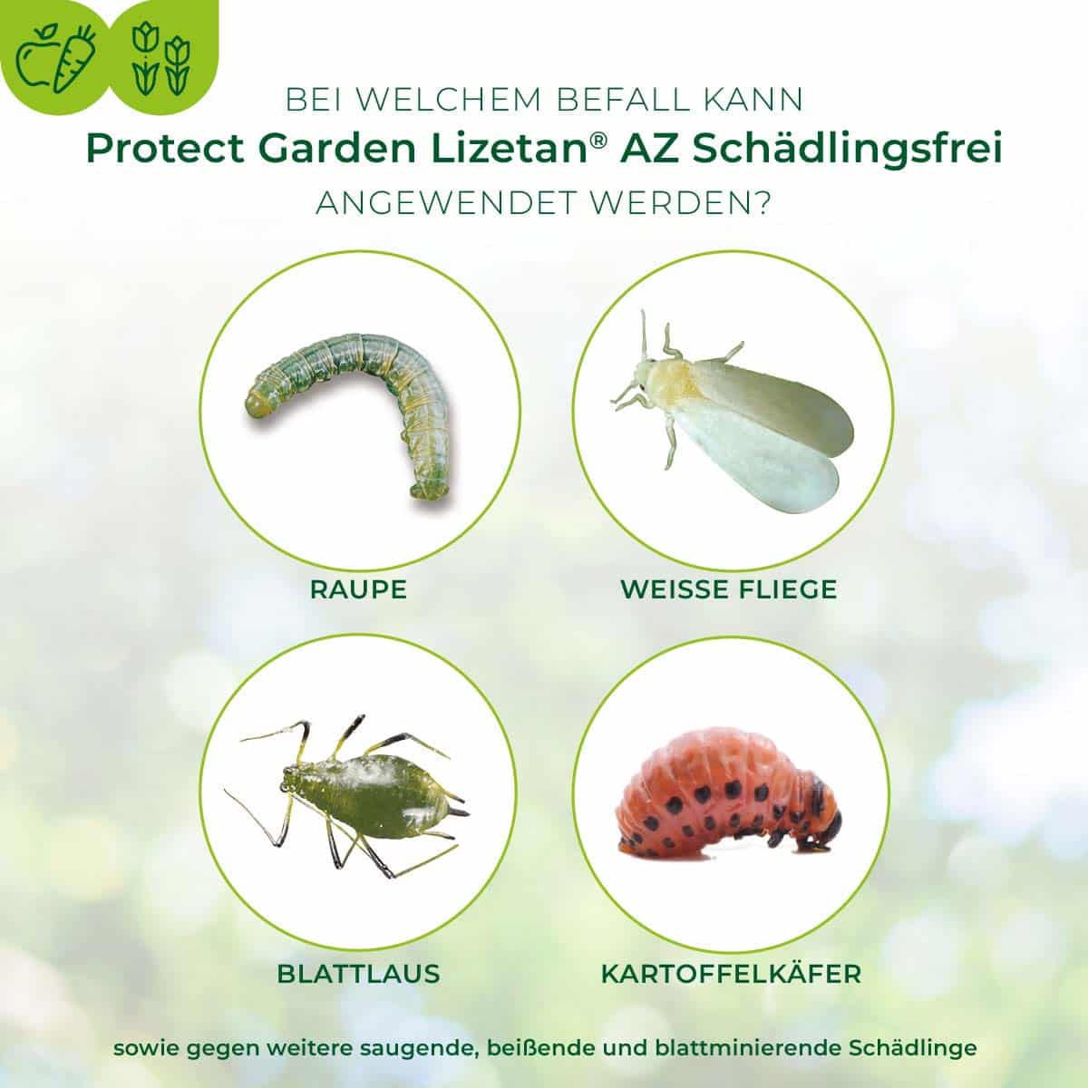 Lizetan AZ Schädlingsfrei