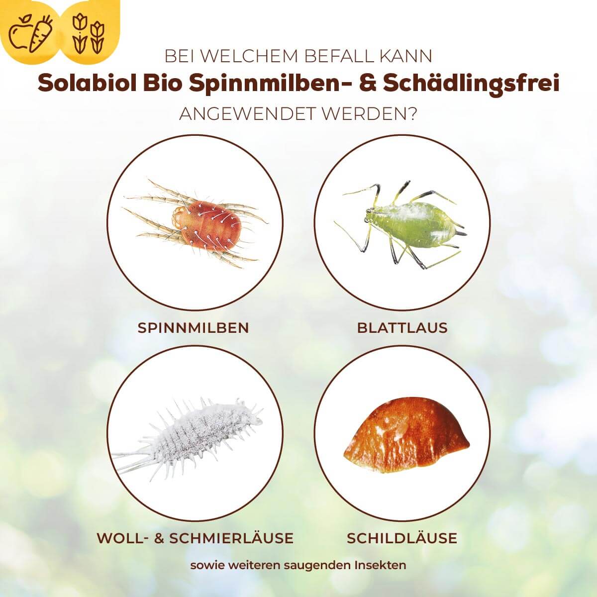Solabiol Bio Spinnmilben- & Schädlingsfrei 250 ml