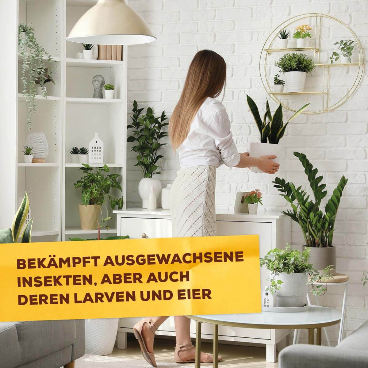 Solabiol Bio Spinnmilben- & Schädlingsfrei 250 ml