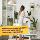 Solabiol Bio Spinnmilben- & Schädlingsfrei 250 ml